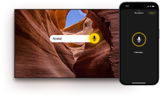 Voice control & input